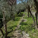 Appartement Casetta Stella